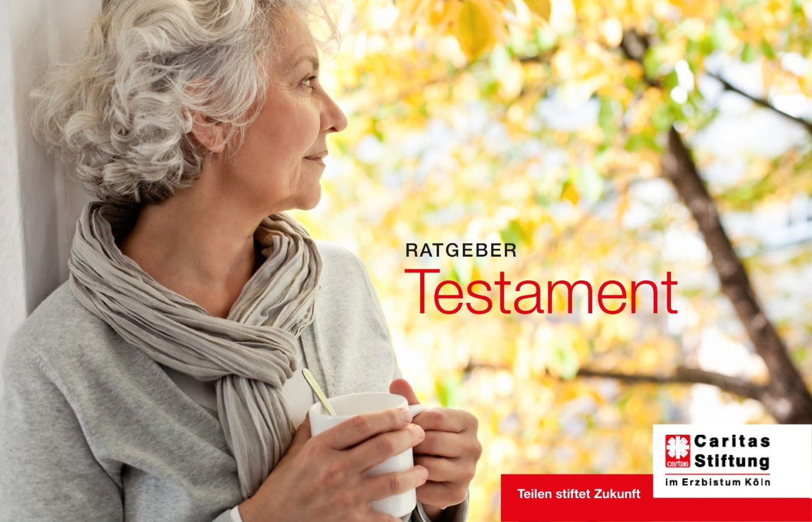 Ratgeber-Testament_Titel-1