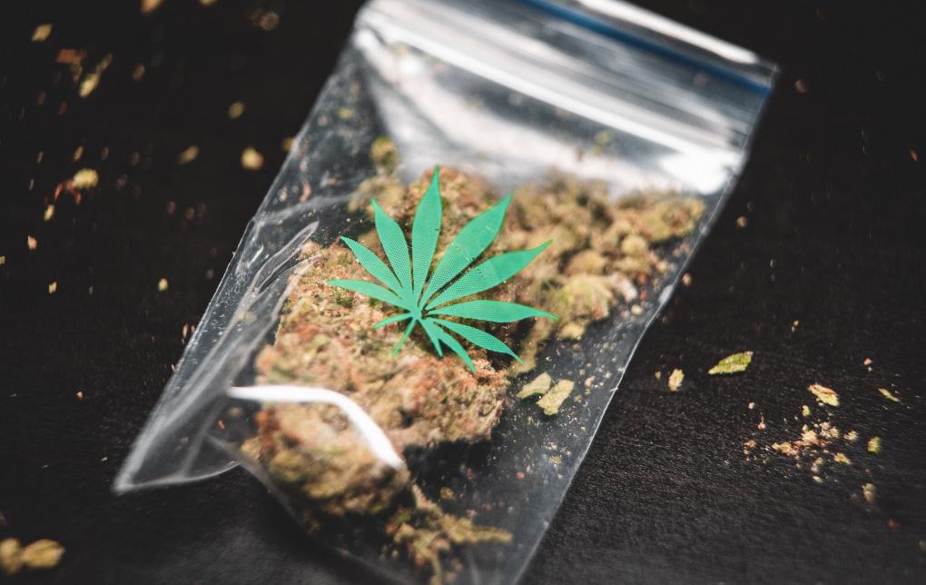 gras weed