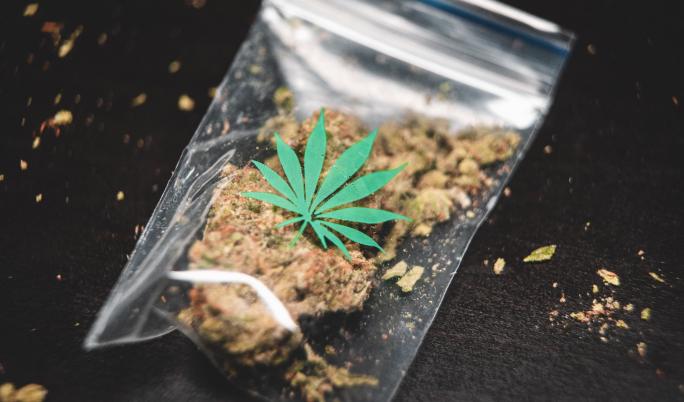 gras weed