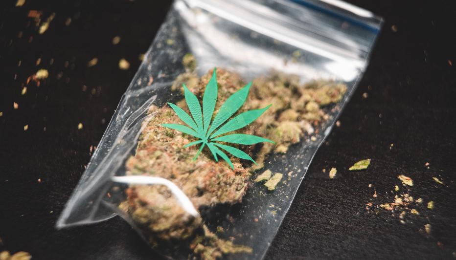 gras weed