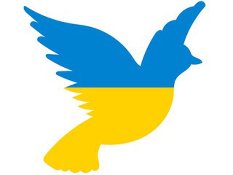 22-03-20 SKM Ukraine Hilfe NEWSLETTER-NEWS