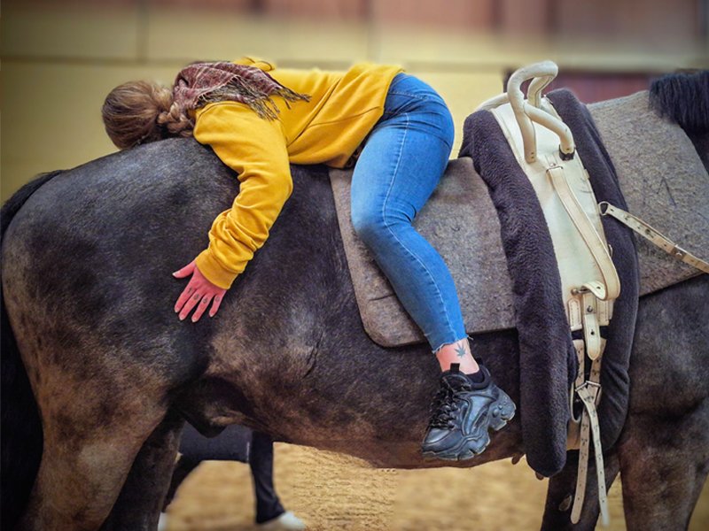 25-04-04 SPZ FIPS-Reiten NEWS